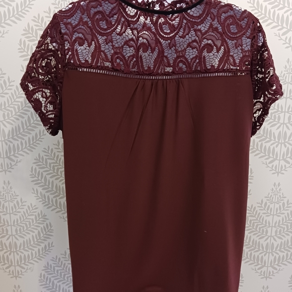 Lace Turtleneck Top - Picture 3 of 6